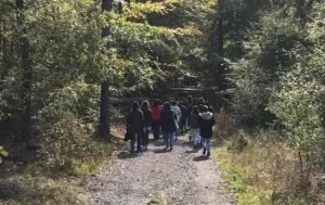 Melodie der Natur, hör hin…, Foto 1