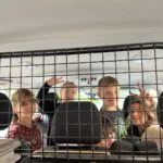 Fit_in_Deutsch5